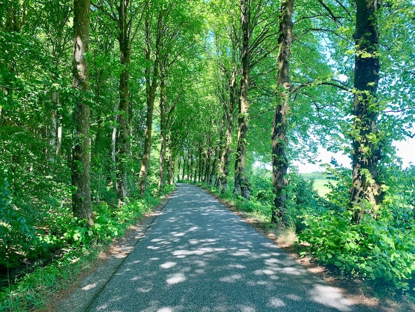 Auf dem Weg zur Burg Sp&oslash;ttrup