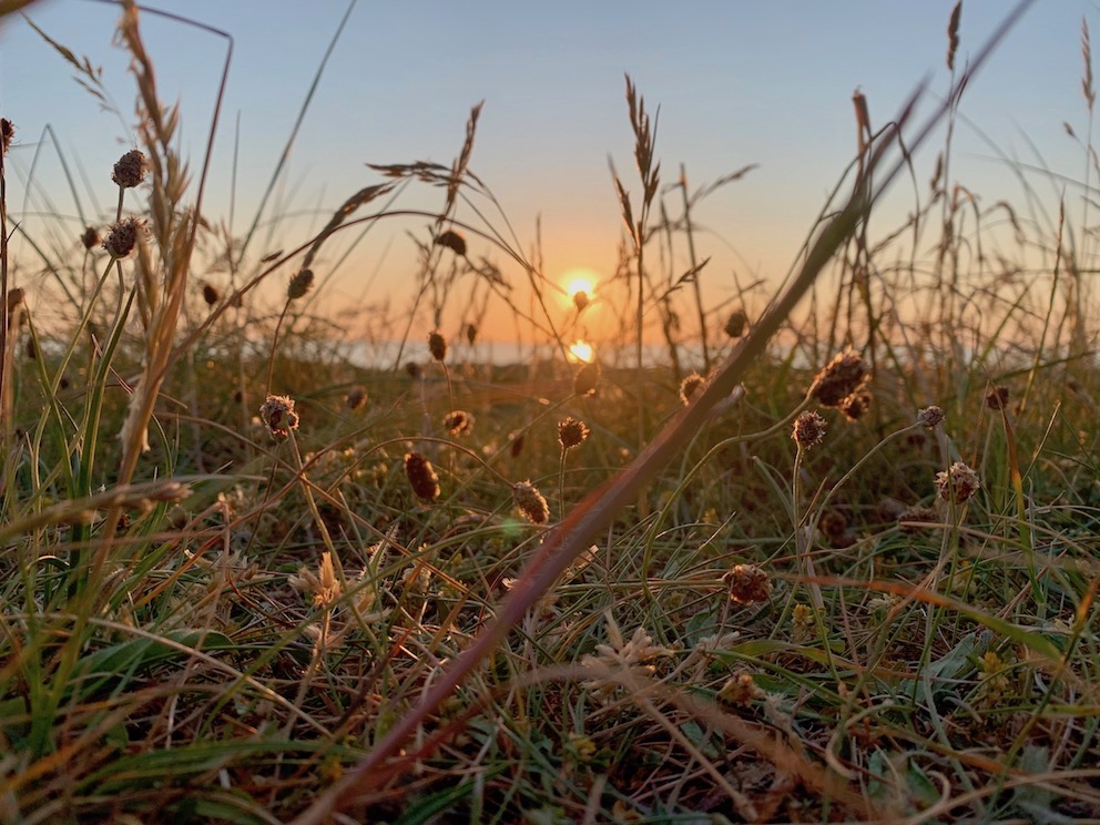 Was f&uuml;r ein toller Sonnenuntergang