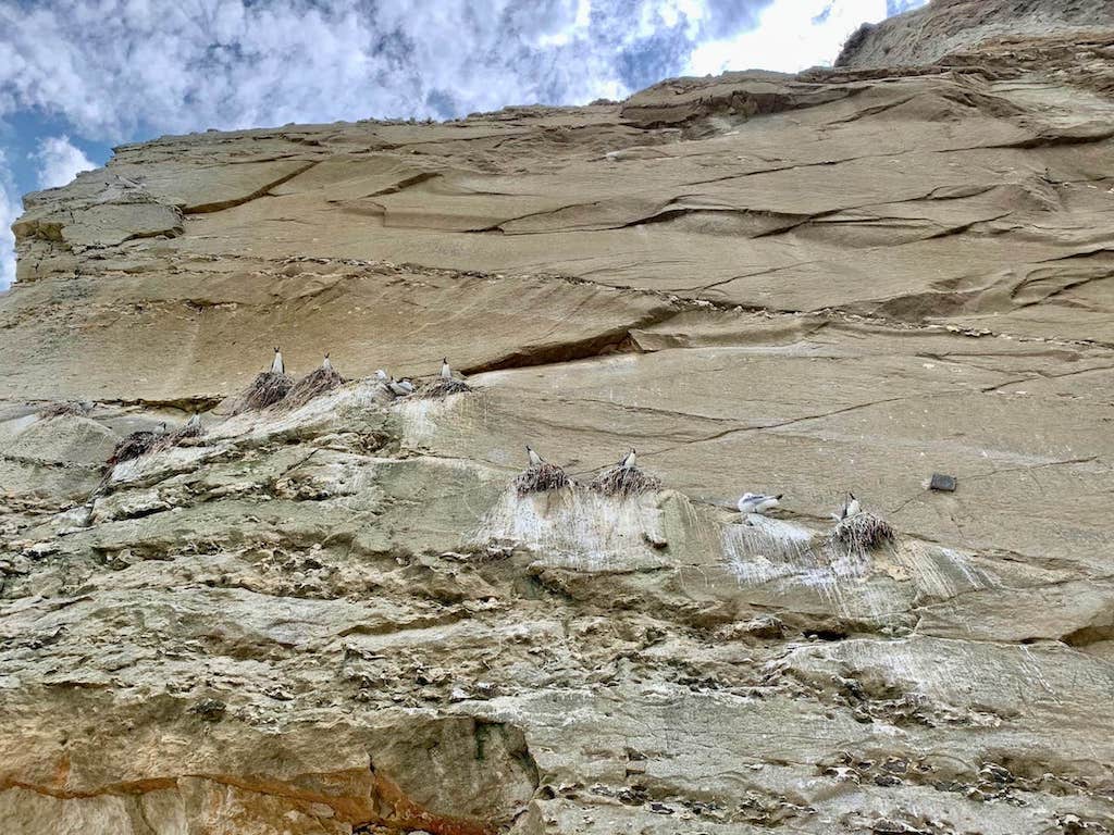 Der einzige Felsen J&uuml;tlands