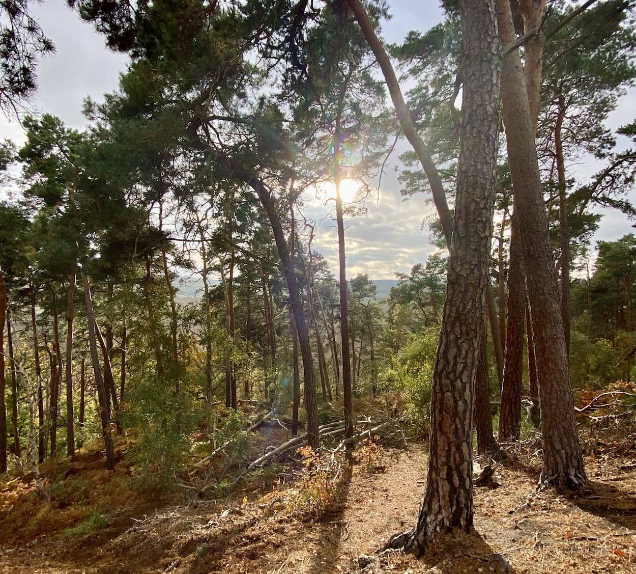 Auf dem Weg zur Rabenklippe