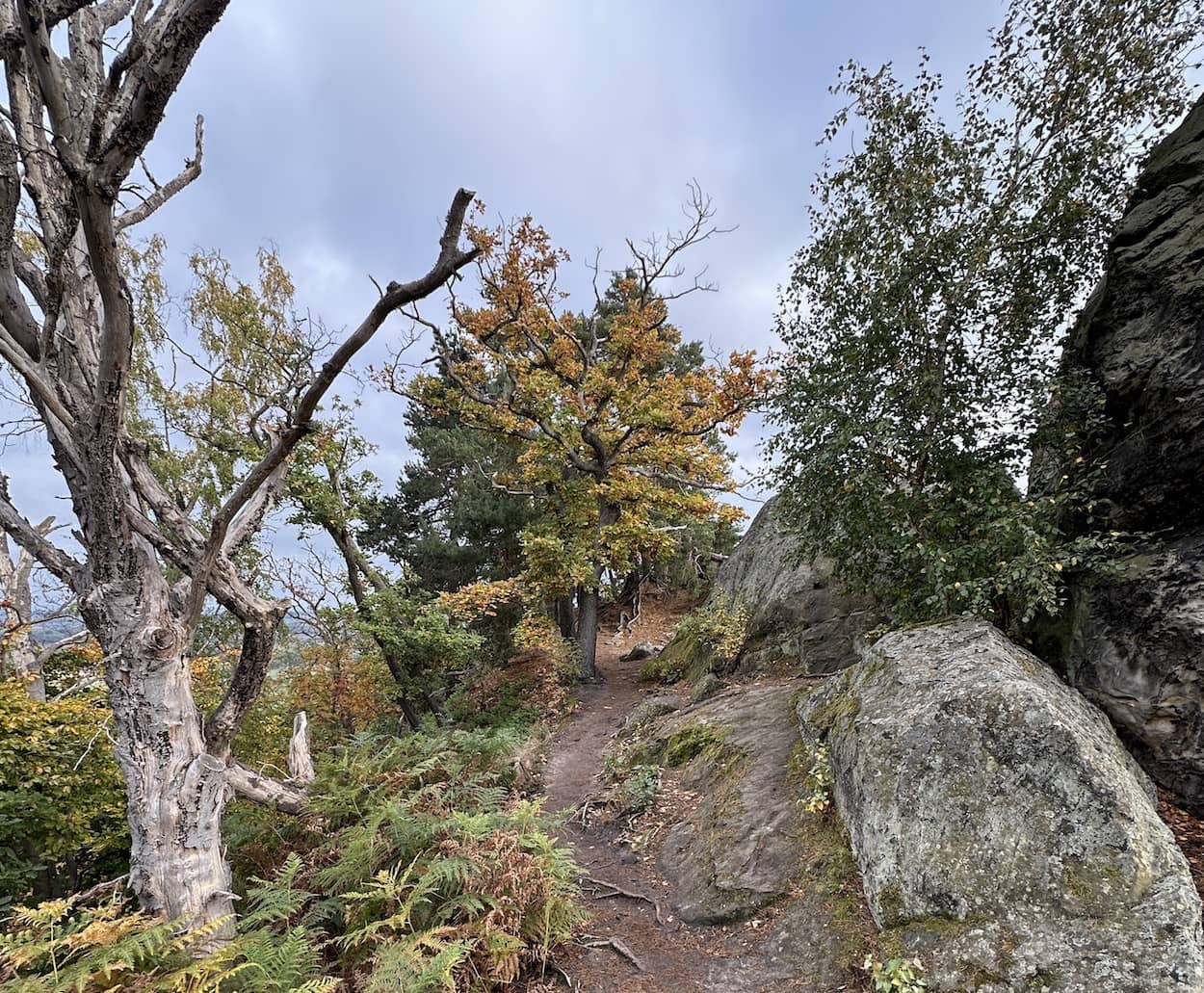 Wanderung entlang der Teufelsmauer