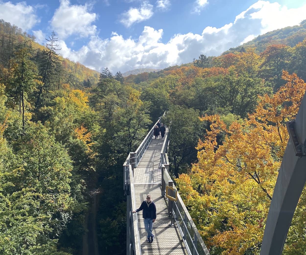 Bad Harzburg &ndash; der Baumwipfelpfad