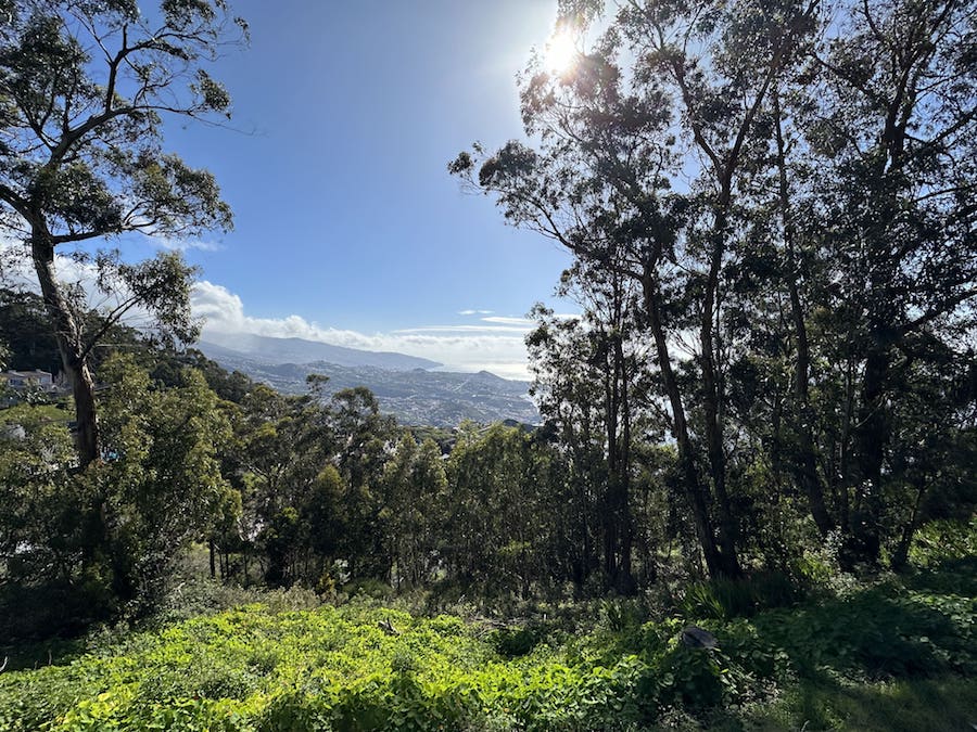 Cabo Gir&atilde;o, einer der h&ouml;chsten Steilklippen Europas