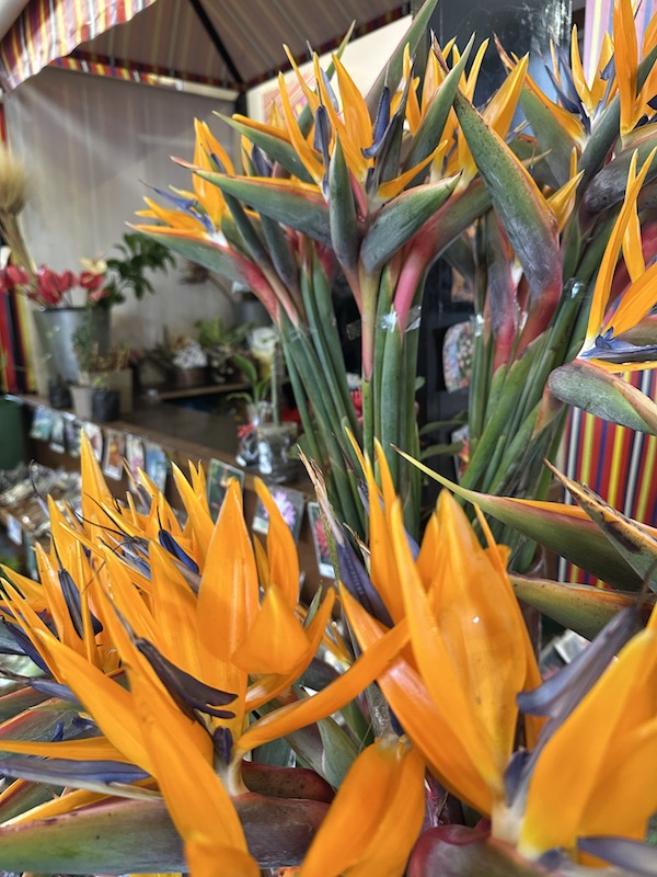 Die Markthalle Mercado dos Lavradores