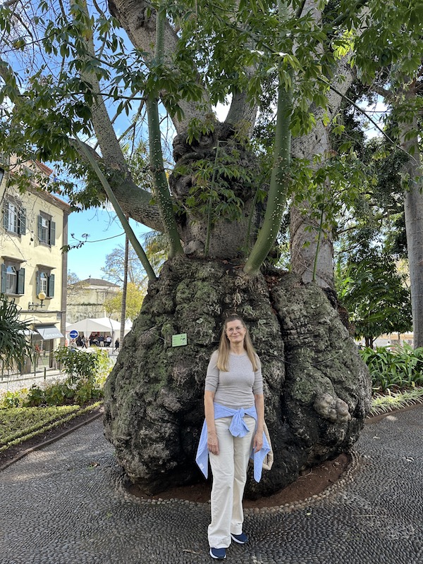 Der Stadtpark in Funchal, wundersch&ouml;n und liebevoll gestaltet