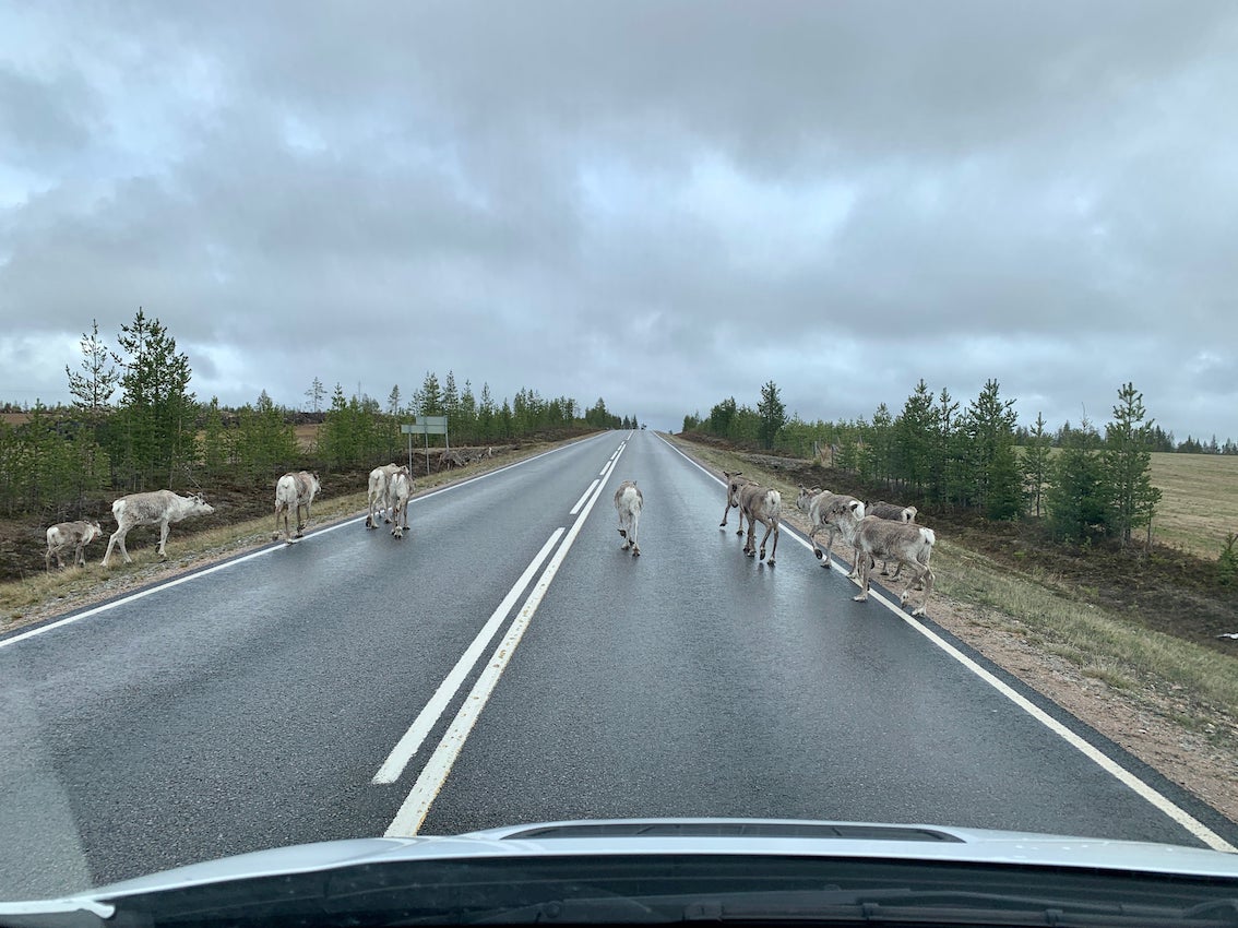 28. Mai 2022 (⁨Muonio⁩, ⁨Lappland⁩, ⁨Finnland⁩)