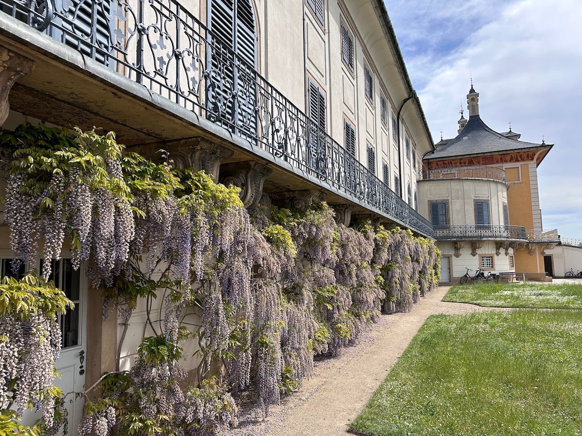 Garten- und Parkanlage Pillnitz